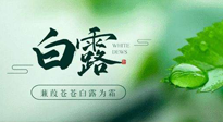 【二十四節(jié)氣灸】白露涼爽，養(yǎng)心肝脾胃、滋陰潤肺是關(guān)鍵！