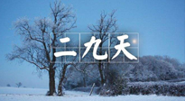 【三九養(yǎng)生】冬二九，扶陽(yáng)補(bǔ)腎氣，讓你陽(yáng)氣充足一整年！