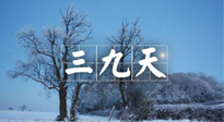 【三九養(yǎng)生】冬三九，三九第三灸，一年中最后艾灸黃金9天！