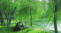【養(yǎng)生知識(shí)】元宵入六九，春季已至，六九天的養(yǎng)生知識(shí)你知道多少？