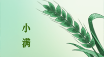 【二十四節(jié)氣灸】小滿(mǎn)節(jié)氣記得艾灸，悠悠長(zhǎng)夏，健康度過(guò)！